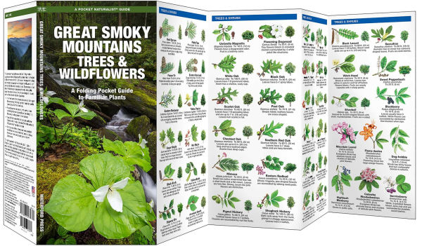 Great Smoky Mountains Trees and Wildflowers: An Introduction to Familiar Species (Pocket Naturalist - Waterford Press)