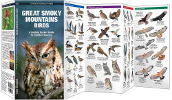 Alternative view 4 of Great Smoky Mountain Birds: An Introduction to Familiar species (Pocket Naturalist Series)