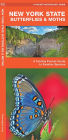 New York State Butterflies and Moths: An Introduction to Familiar Species (Pocket Naturalist Series)