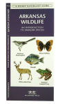 Alternative view 2 of Arkansas Wildlife: A Folding Pocket Guide to Familiar Animals
