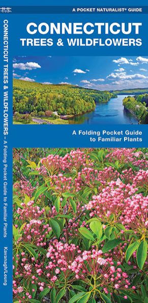 Connecticut Trees & Wildflowers: A Folding Pocket Guide to Familiar Plants