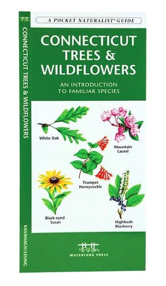 Connecticut Trees & Wildflowers: A Folding Pocket Guide to Familiar Plants