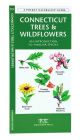 Alternative view 2 of Connecticut Trees & Wildflowers: A Folding Pocket Guide to Familiar Plants