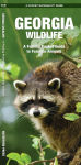 Alternative view 1 of Georgia Wildlife: A Folding Pocket Guide to Familiar Animals