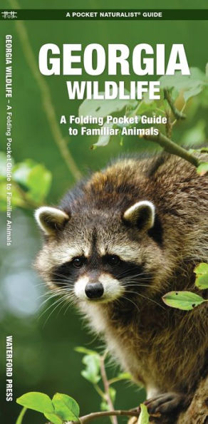 Georgia Wildlife: A Folding Pocket Guide to Familiar Animals