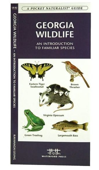 Georgia Wildlife: A Folding Pocket Guide to Familiar Animals