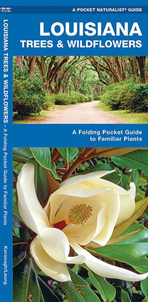 Louisiana Trees & Wildflowers: A Folding Pocket Guide to Familiar Plants