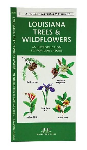 Louisiana Trees & Wildflowers: A Folding Pocket Guide to Familiar Plants