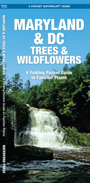Maryland & DC Trees & Wildflowers: A Folding Pocket Guide to Familiar Plants