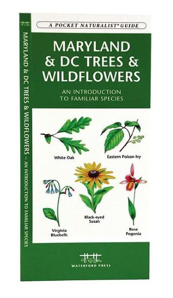 Maryland & DC Trees & Wildflowers: A Folding Pocket Guide to Familiar Plants