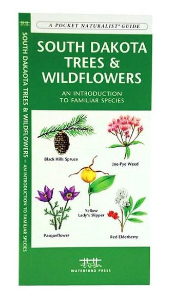 South Dakota Trees & Wildflowers: A Folding Pocket Guide to Familiar Plants