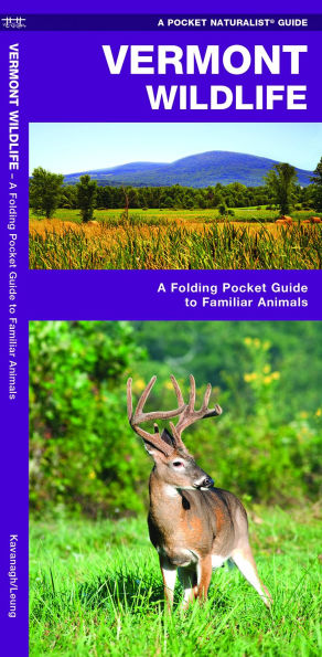 Vermont Wildlife: A Folding Pocket Guide to Familiar Animals