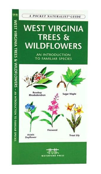 West Virginia Trees & Wildflowers