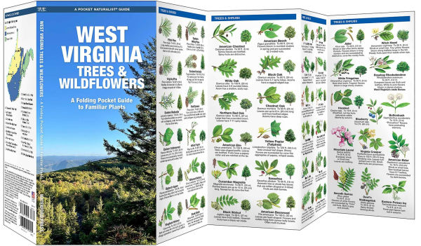 West Virginia Trees & Wildflowers