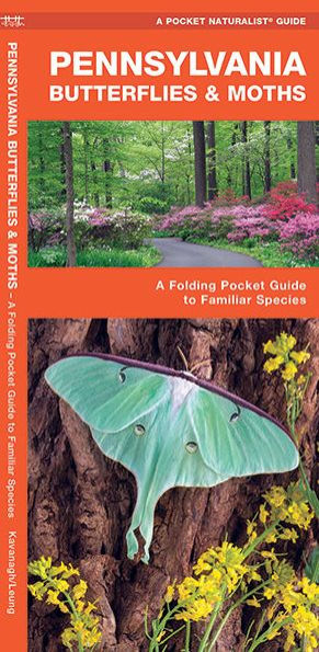 Pennsylvania Butterflies & Moths: A Folding Pocket Guide to Familiar Species