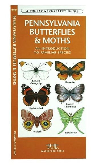 Pennsylvania Butterflies & Moths: A Folding Pocket Guide to Familiar Species