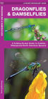 Dragonflies & Damselflies: A Folding Pocket Guide to Familiar, Widespread North American Species