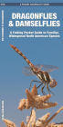 Dragonflies & Damselflies: A Folding Pocket Guide to Familiar, Widespread North American Species