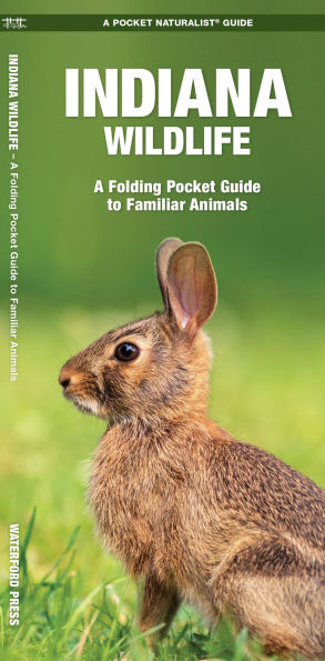 Indiana Wildlife: A Folding Pocket Guide to Familiar Animals