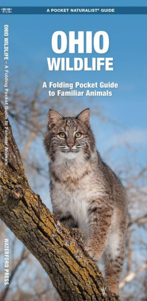 Ohio Wildlife: A Folding Pocket Guide to Familiar Animals