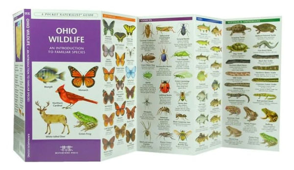 Ohio Wildlife: A Folding Pocket Guide to Familiar Animals