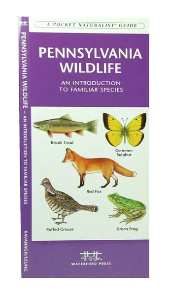 Pennsylvania Wildlife: A Folding Pocket Guide to Familiar Animals