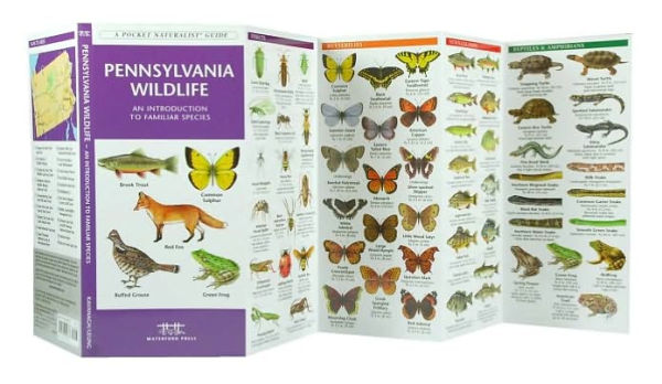 Pennsylvania Wildlife: A Folding Pocket Guide to Familiar Animals