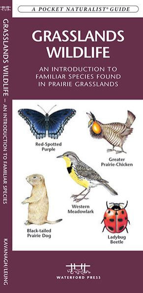 Grasslands Wildlife: An Introduction to Familiar Species Found in Prairie Grasslands