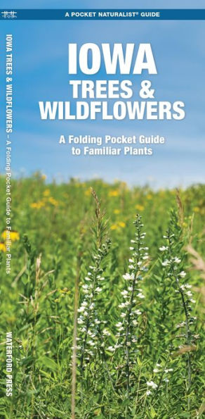 Iowa Trees & Wildflowers: An Introduction to Familiar Species