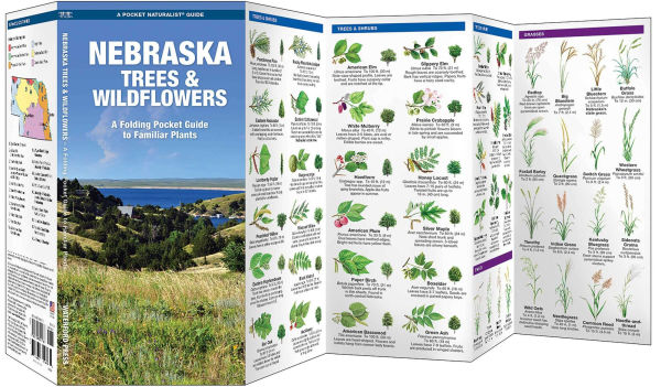 Nebraska Trees & Wildflowers