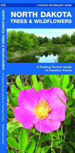 Title: North Dakota Trees & Wildflowers: A Folding Pocket Guide to Familiar Plants, Author: James Kavanagh Waterford Press