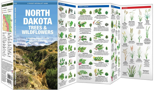 North Dakota Trees & Wildflowers