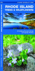 Rhode Island Trees & Wildflowers: A Folding Pocket Guide to Familiar Plants