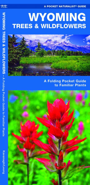 Wyoming Trees & Wildflowers: A Folding Pocket Guide to Familiar Plants