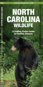 Title: Maine Wildlife: An Introduction to Familiar Species, Author: James Kavanagh