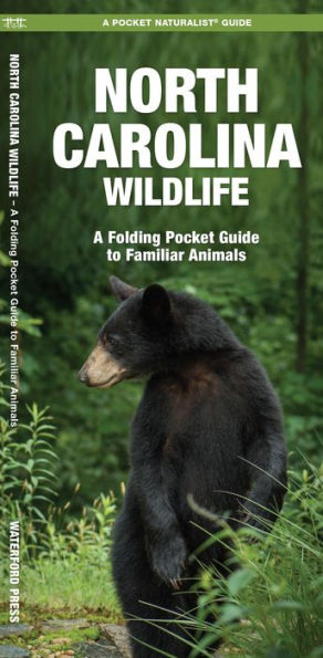 Maine Wildlife: A Folding Pocket Guide to Familiar Animals