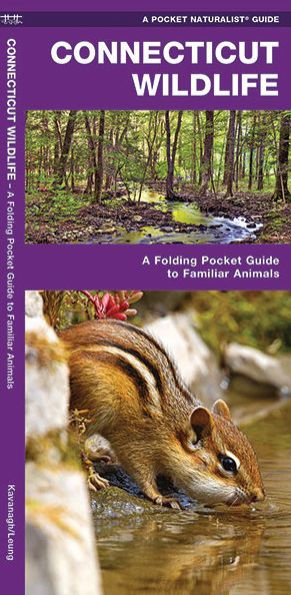 Connecticut Wildlife: A Folding Pocket Guide to Familiar Animals