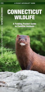 Title: Connecticut Wildlife, Author: James Kavanagh Waterford Press