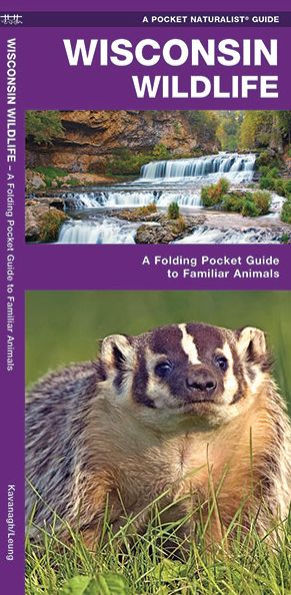 Wisconsin Wildlife: A Folding Pocket Guide to Familiar Animals