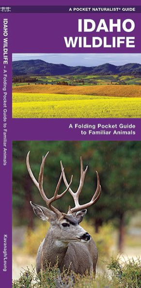 Idaho Wildlife: A Folding Pocket Guide to Familiar Animals