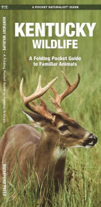 Title: Kentucky Wildlife: An Introduction to Familiar Species, Author: James Kavanagh