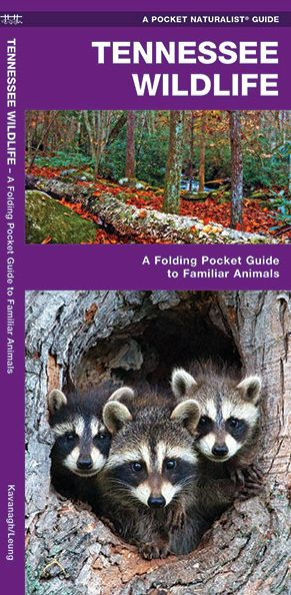 Tennessee Wildlife: A Folding Pocket Guide to Familiar Animals