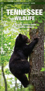 Title: Tennessee Wildlife: A Folding Pocket Guide to Familiar Animals, Author: James Kavanagh Waterford Press