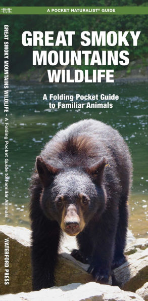 Great Smoky Mountains Wildlife