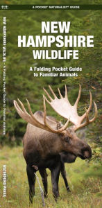 Title: New Hampshire Wildlife: An Introduction to Familiar Species, Author: James Kavanagh