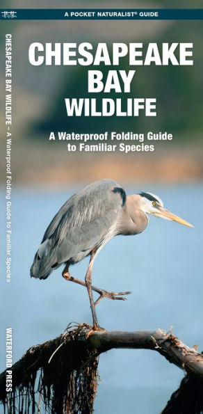 Chesapeake Bay Wildlife: A Folding Guide to Familiar Species