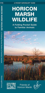 Title: Horicon Marsh Wildlife: An Introduction to Familiar Species, Author: James Kavanagh