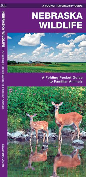 Nebraska Wildlife: A Folding Pocket Guide to Familiar Animals