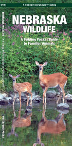Title: Nebraska Wildlife, Author: James Kavanagh Waterford Press