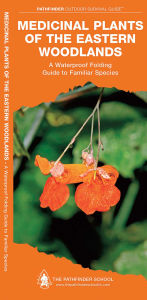 Title: Medicinal Plants of the Eastern Woodlands, Author: Dave Canterbury